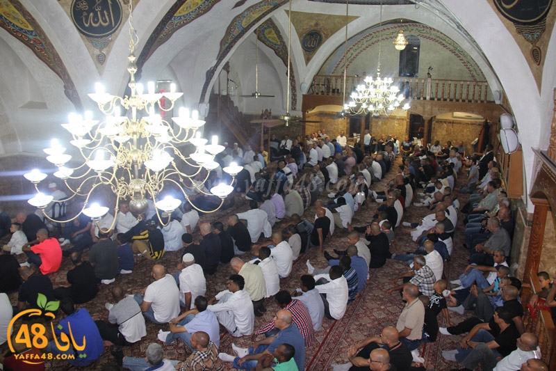 3ed ad7a mahmoudaia (6).JPG